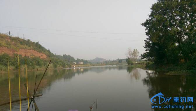 112353s0bbhb9ellsx3h5l.jpg
