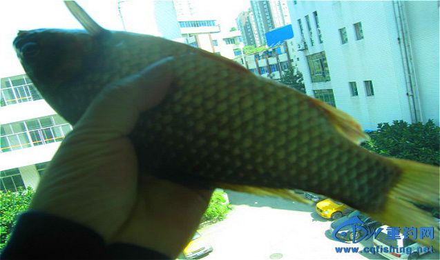 НO (115)_meitu_3.jpg