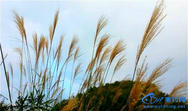 u=3725525025,2171780161&amp;fm=21&amp;gp=0_meitu_4.jpg