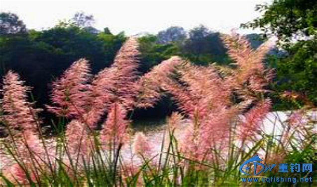 u=1132544834,3406779863&amp;fm=21&amp;gp=0_meitu_2.jpg