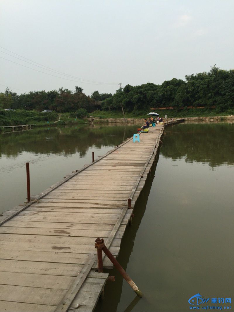 135706wb88bysety9g0n3y.jpg