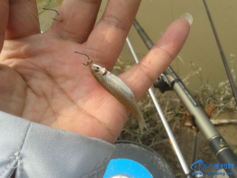 20151007_145337.jpg