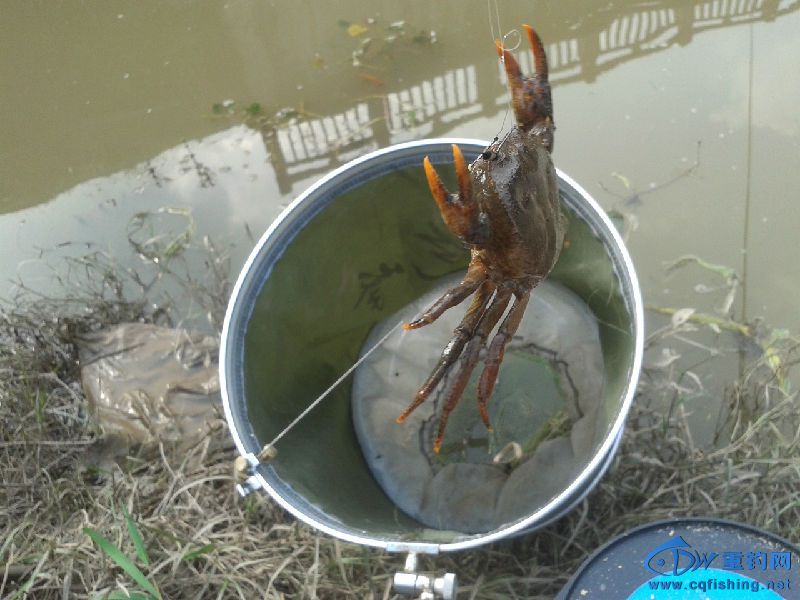 20151007_160156.jpg