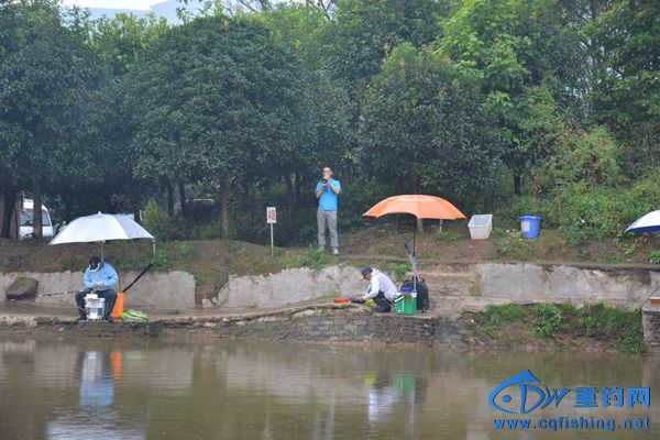 DSC_4526.JPG