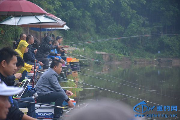 DSC_4550.JPG