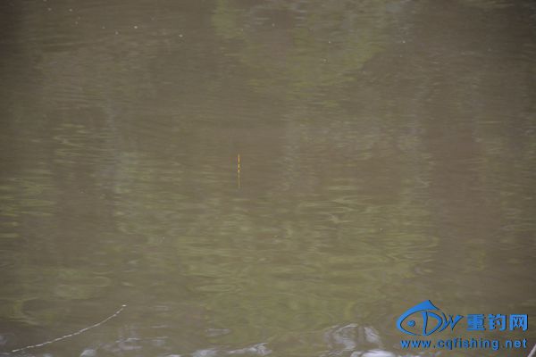 DSC_4582.JPG