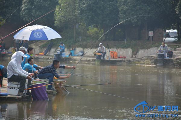DSC_4831.JPG