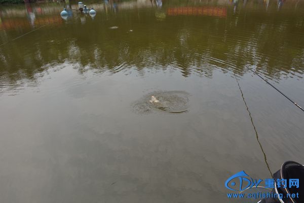 DSC_4889.JPG
