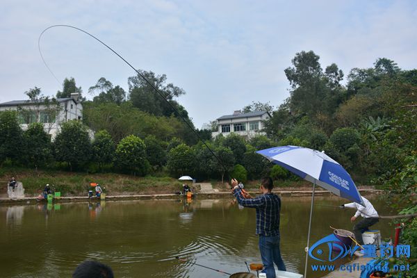 DSC_4899.JPG