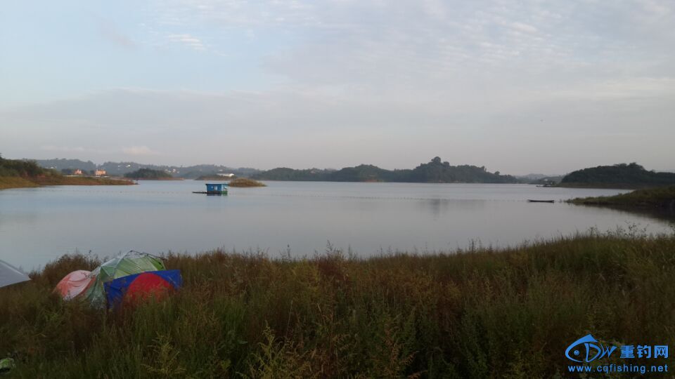 QQ图片20151006140314.jpg