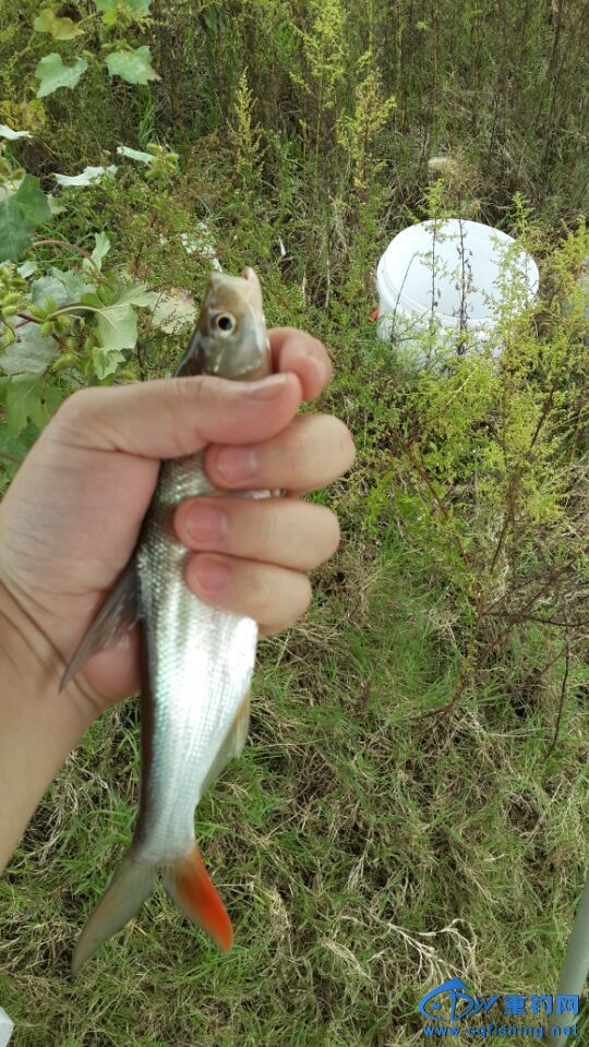 QQ图片20151006140108.jpg