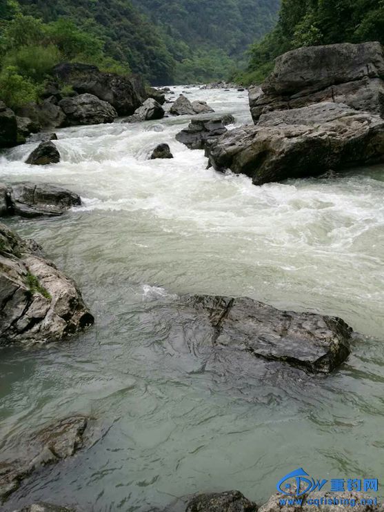 Ƭ 090_.jpg
