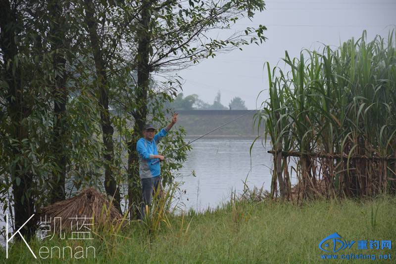 DSC_2746.jpg