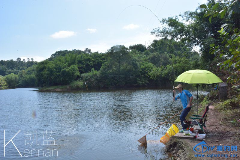 DSC_2921.jpg