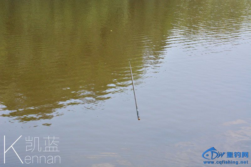 DSC_2955.jpg