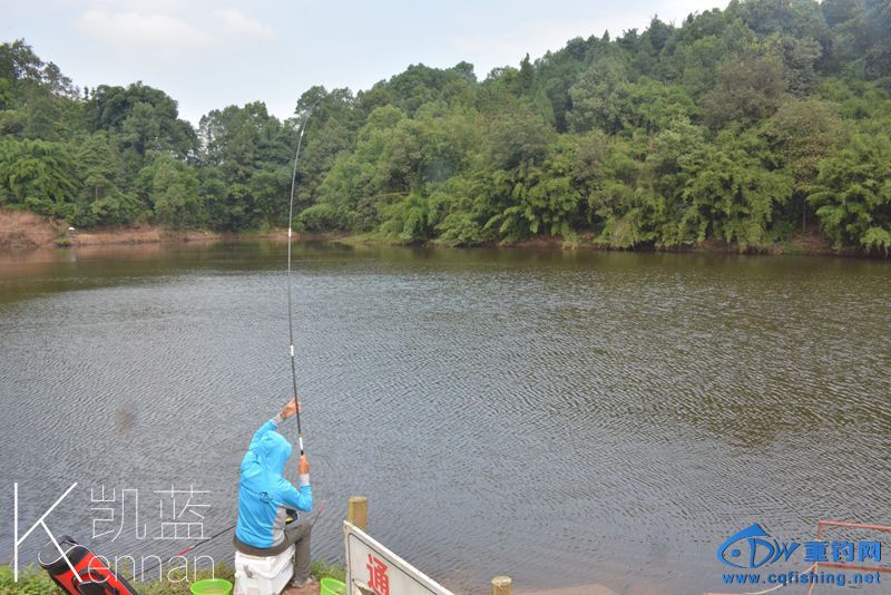DSC_2979.jpg