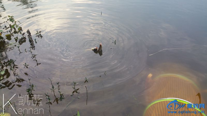 20150922_182455.jpg