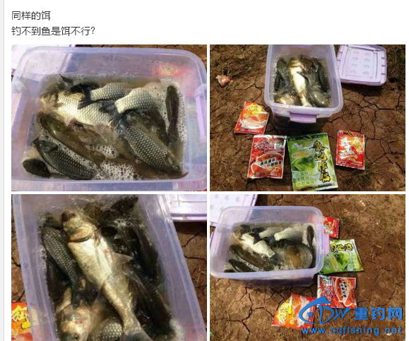 20151116_164135_068.png