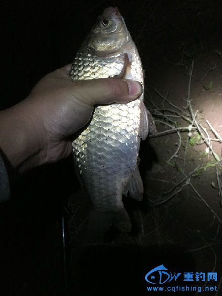 IMG_1463.JPG