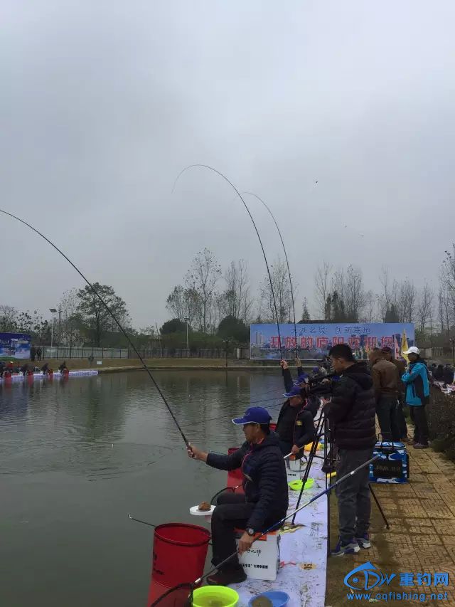 20151120_225659_019.jpg