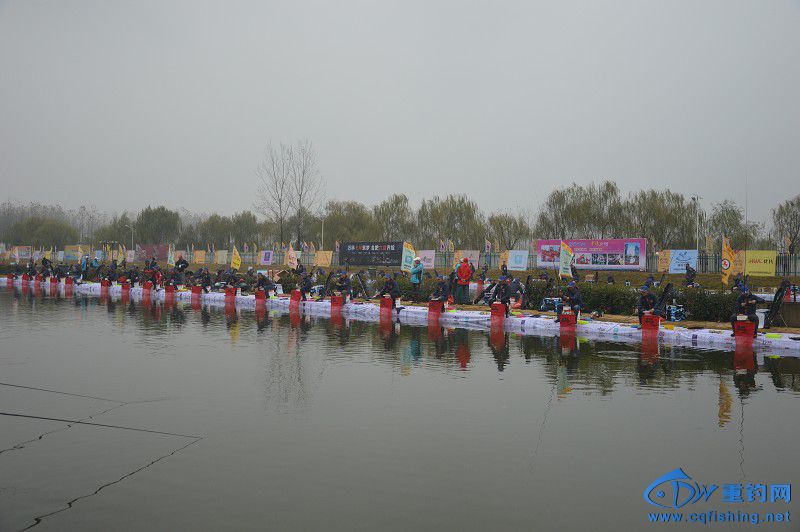 20151121_011545_115.jpg