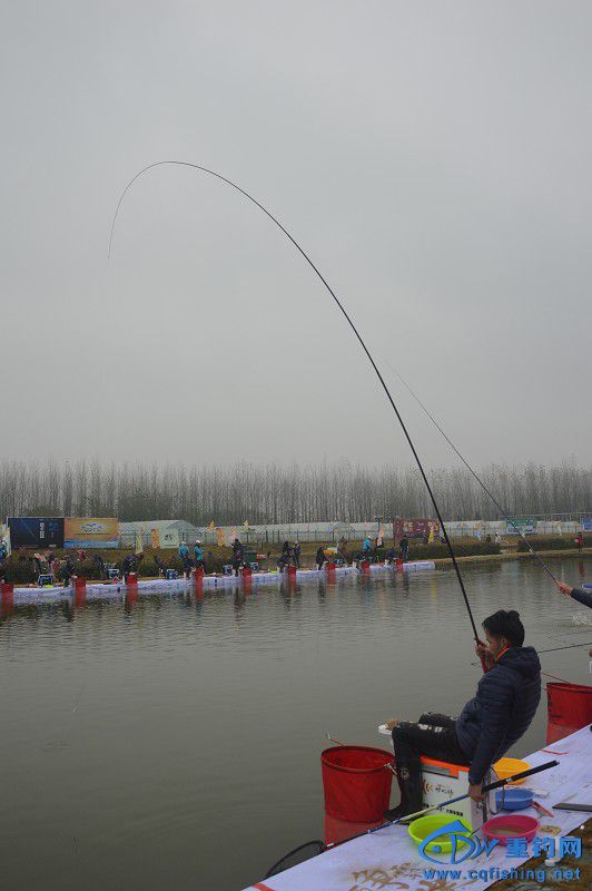 20151121_011545_127.jpg