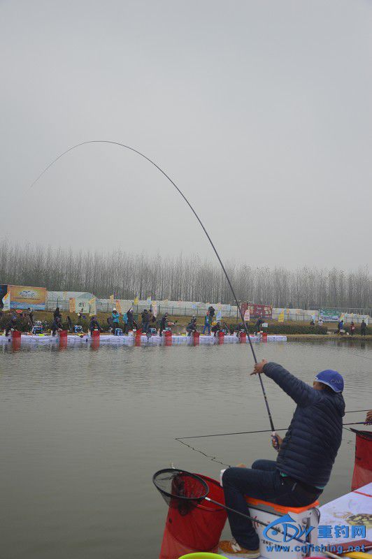 20151121_011545_132.jpg