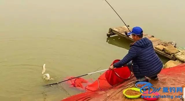 20151121_233102_033.jpg