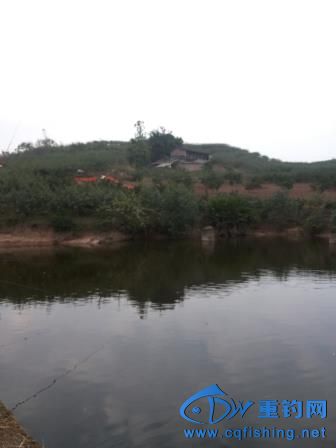 20151121_144551.jpg