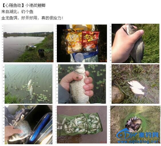 QQͼƬ20151128134923.jpg