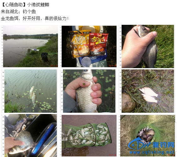 QQͼƬ20151130134813.png