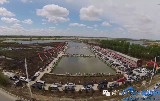 15051623182585fb150f4bb482.jpg