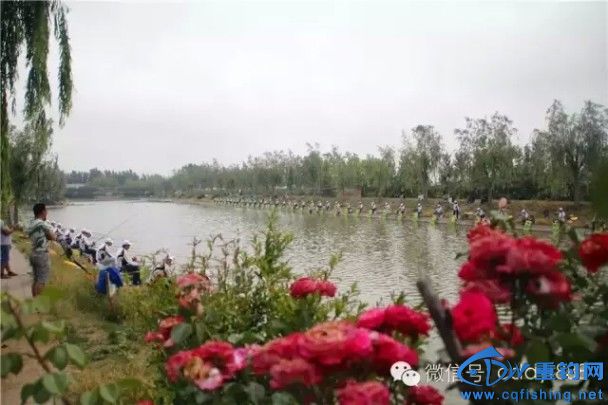 15060118312a12be90695dff26.jpg