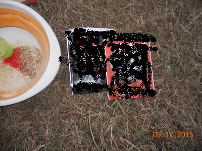 DSCN7696.jpg