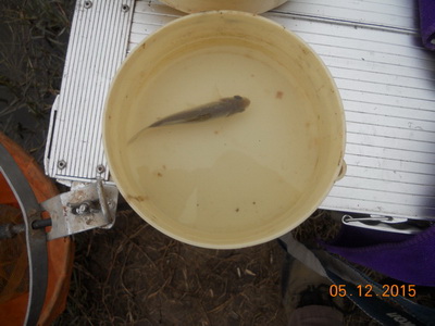 DSCN7700.jpg