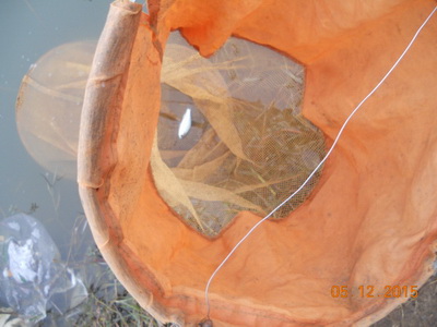 DSCN7701.jpg