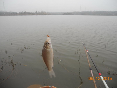 DSCN7703.jpg