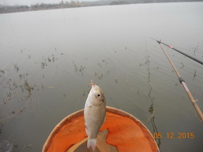 DSCN7704.jpg