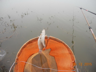 DSCN7705.jpg