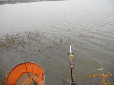 DSCN7706.jpg