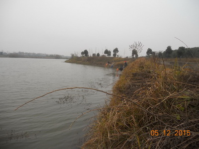 DSCN7708.jpg