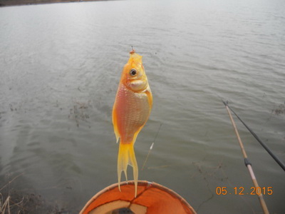 DSCN7709.jpg