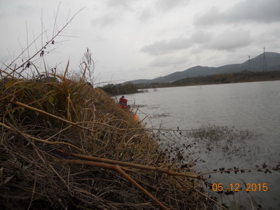 DSCN7710.jpg