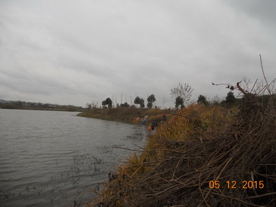 DSCN7711.jpg