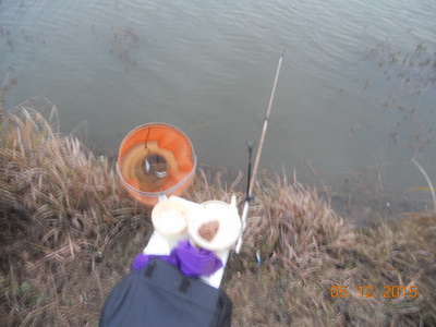 DSCN7712.jpg