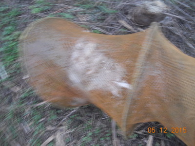 DSCN7713.jpg
