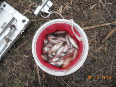 DSCN7714.jpg