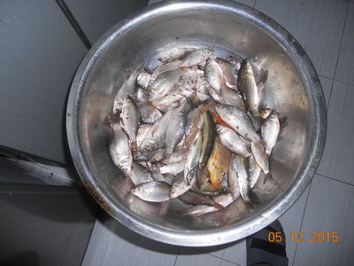 DSCN7716.jpg