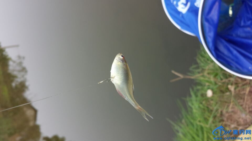 QQͼƬ20151213172757.jpg