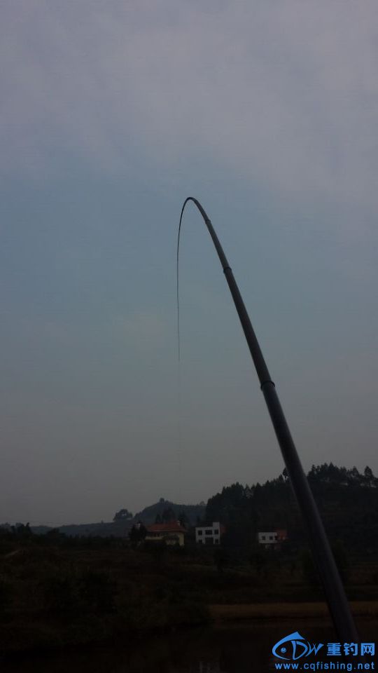 QQͼƬ20151211225355.jpg